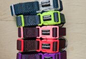 Dog collars