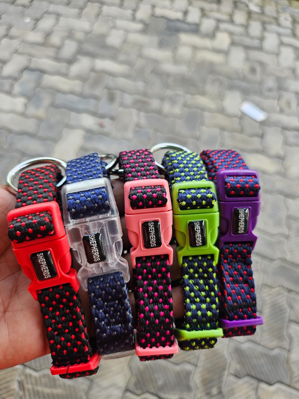 Dog collars
