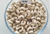 Cashew Nut W320