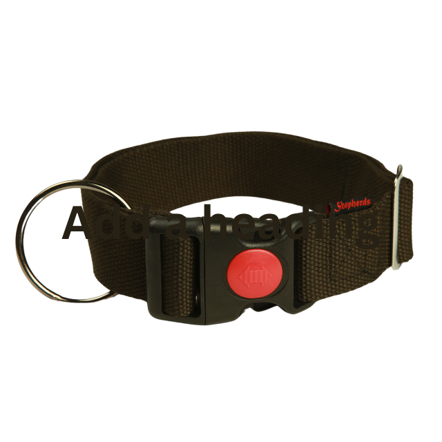 Dog colllar OEM and ODM manufacturer