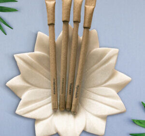 Brown-Pen-300×400-1