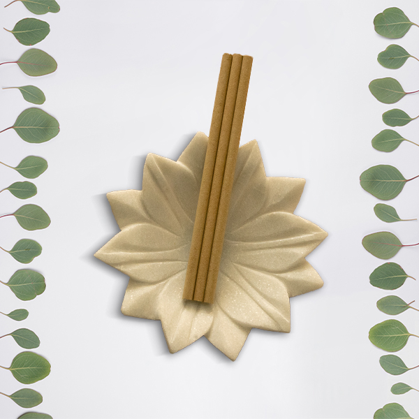 Brown Pencil (pack of 10)