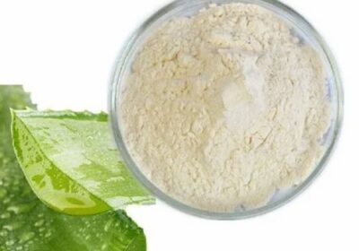 Aloe-Vera-Powder