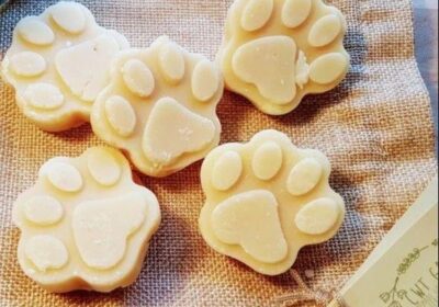 Organic-Pet-Soap-Third-Party-Manufacturing-And-Private-Labeling