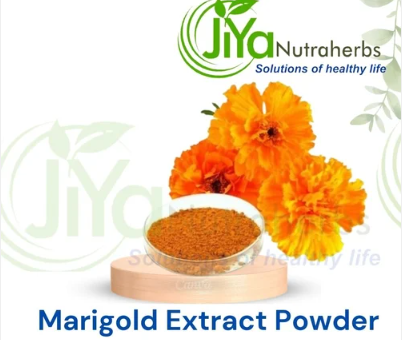 Marigold Extract Powder