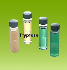 Screenshot-2025-06-07-183533