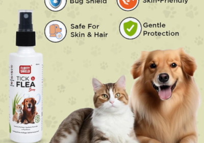 Screenshot-2025-06-15-182824