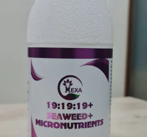 Screenshot-2025-06-23-171417