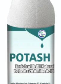 Screenshot-2025-06-23-172305