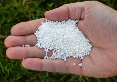 calcium-nitrate-photo-1024×683-1