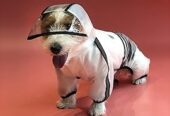 Pet Four Leg Raincoat