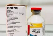 Benzathine Penicillin Injection Ip 48 LAC