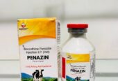 Benzathine Penicillin Injection Ip 48 LAC