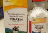 Benzathine Penicillin Injection Ip 48 LAC