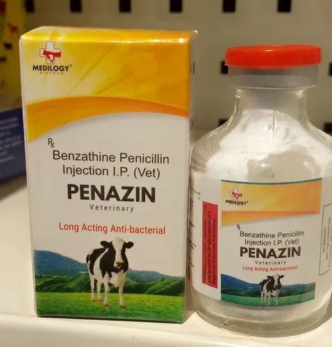 Benzathine Penicillin Injection Ip 48 LAC