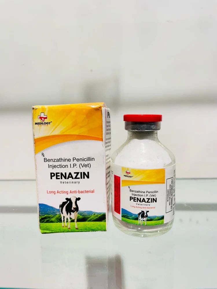 Benzathine Penicillin Injection Ip 48 LAC