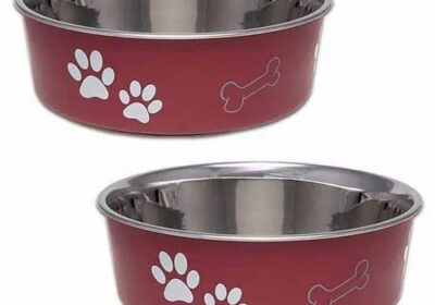 Dog-Bowl-Stainless-Steel_Small-1