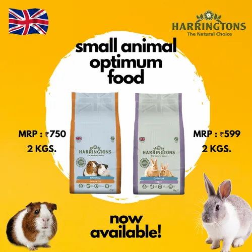 Harringtons Optimum Rabbit Food