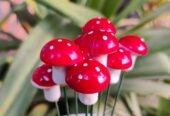 Mini Mushroom stake for Garden Decor
