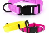 Nylon Dog Collar