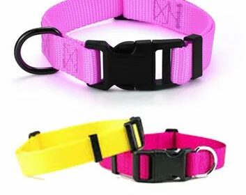 Nylon-Dog-Collar