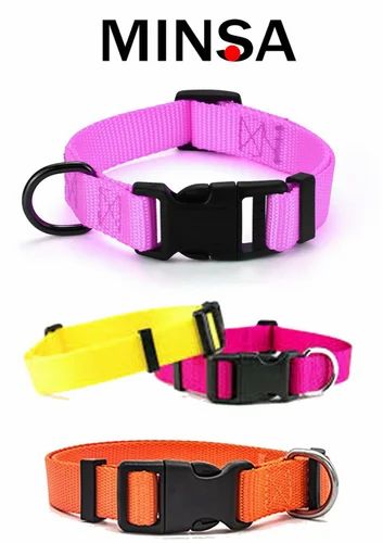 Nylon Dog Collar