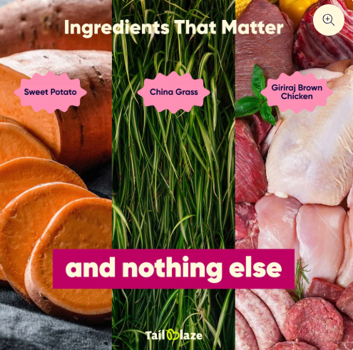 TailBlaze Chipots Dental Care Treats 100gm