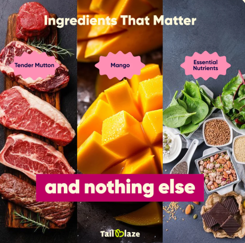 TailBlaze Richy Rich Gourmet Treats 60gm