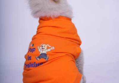 Screenshot-2025-07-02-113526