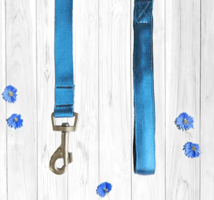 Thunder Tails Color Burst Nylon Leash