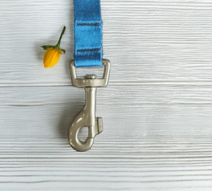 Thunder Tails Color Burst Nylon Leash