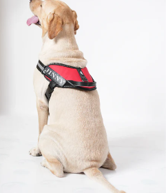 Screenshot-2025-07-02-115644