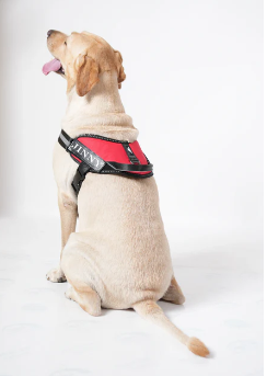 ThunderFit Classic Black Mono Tone Harness