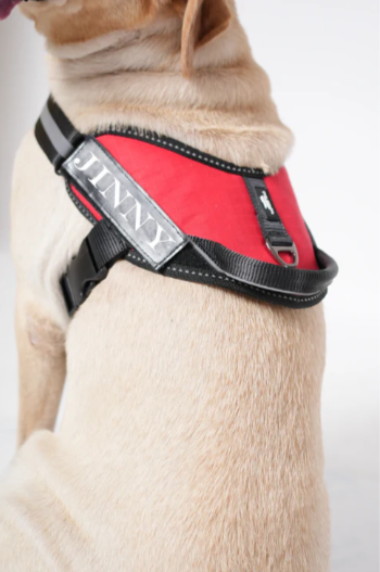 ThunderFit Classic Black Mono Tone Harness