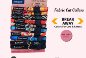Pet Glam Cat Collars Pack Of 2 -Breakaway Collar for Cats & Kittens