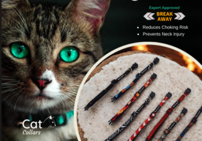 Screenshot-2025-07-02-123224