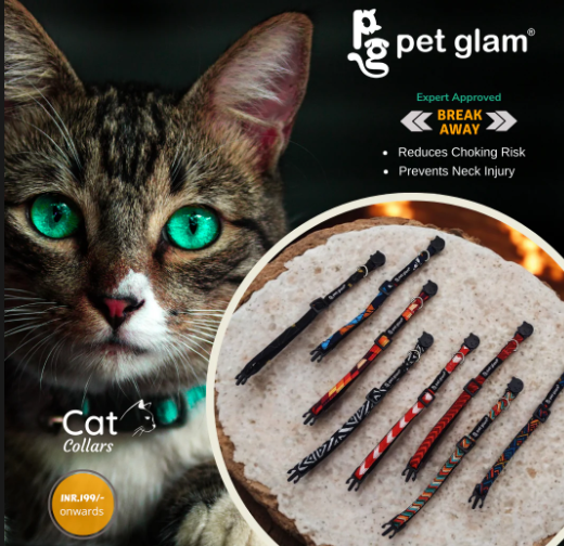 Pet Glam Cat Collars Pack Of 2 -Breakaway Collar for Cats & Kittens