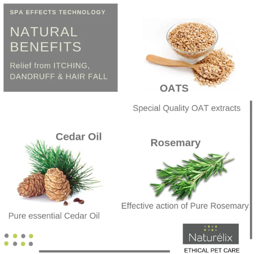 Naturelix-Spa Care-Dog Shampoo & Conditioner for Hair Fall Control & Skin issues & Body Odour in Dogs & Cats