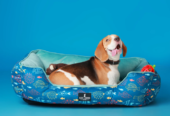 BNB Baby Fish Dog Bed- Lounger Bed ₹2,099.00 Regular