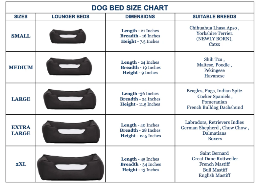 BNB Baby Fish Dog Bed- Lounger Bed ₹2,099.00 Regular