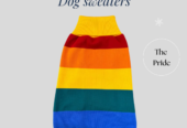 Warm & Cozy Dog Sweaters – Handcrafted