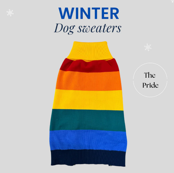 Warm & Cozy Dog Sweaters – Handcrafted