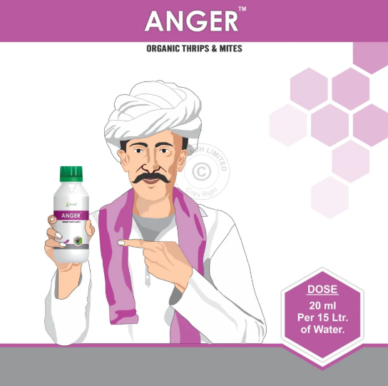 Natural Insecticides