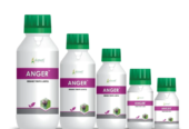 Natural Insecticides