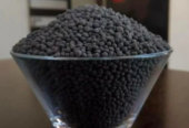 Bio Organic DAP Fertilizer