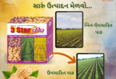 3 Star Groundnut Fertilizer