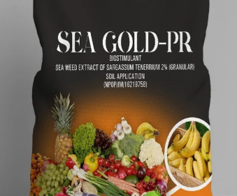 Screenshot-2025-07-17-133854