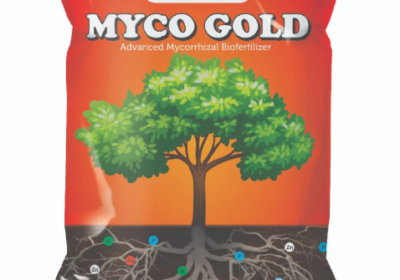 Screenshot-2025-07-17-140748