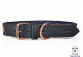 Leather Collar-Blue
