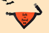 Lick or Treat Dog Bandana